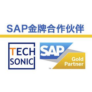 北京SAP软件开发公司 北京ERP系统供应商 北京达策